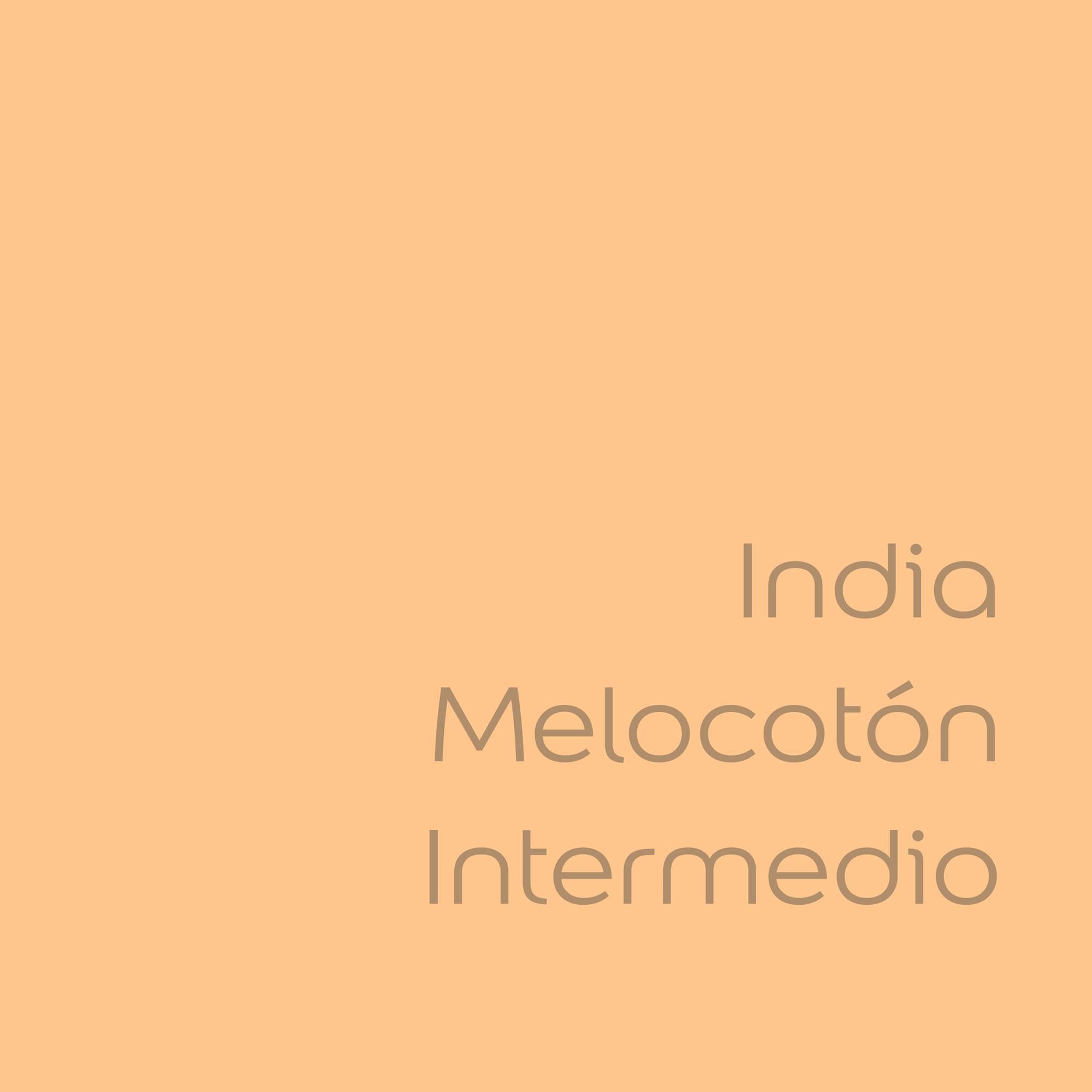 tester de color de pintura bruguer cdm india melocoton intermedio color