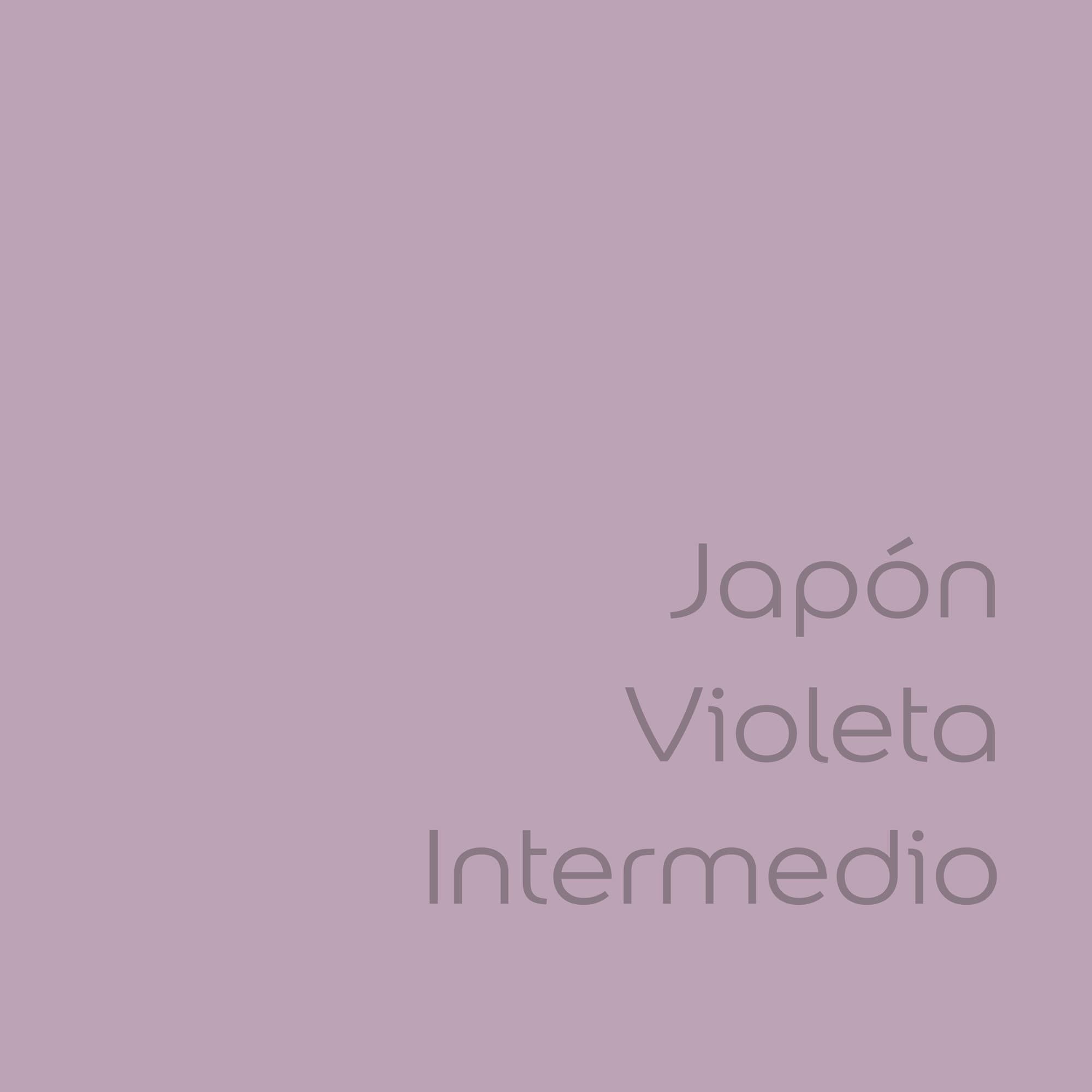 tester de color de pintura bruguer cdm japon violeta intermedio color
