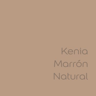 tester de color de pintura bruguer cdm kenia marron natural color