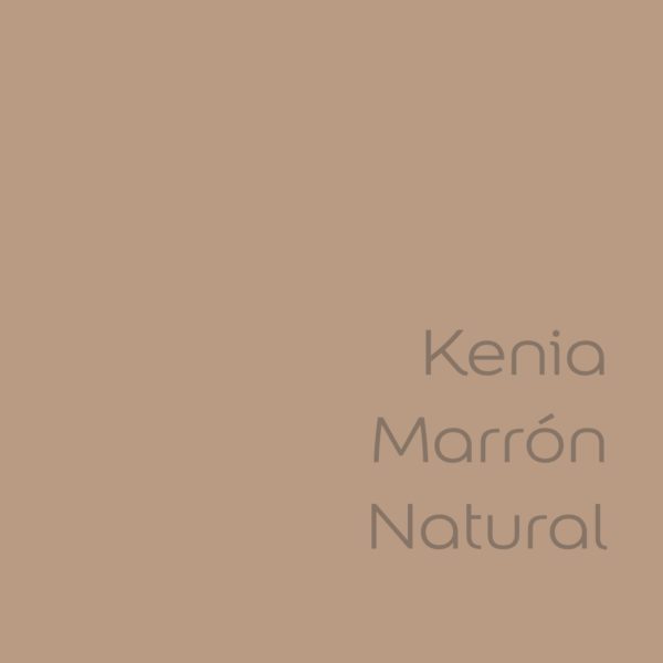 tester de color de pintura bruguer cdm kenia marron natural color